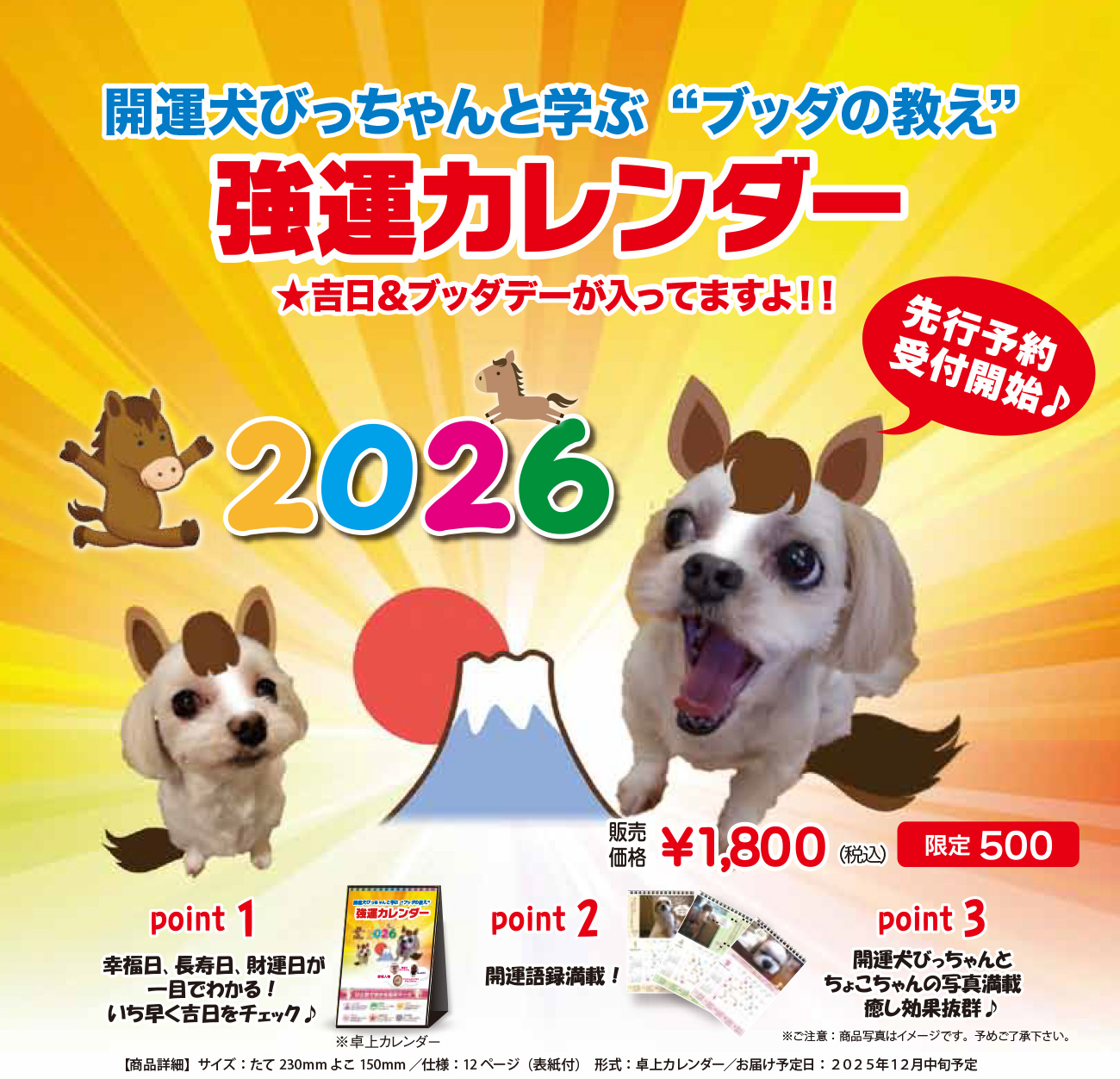 J^т̋^J_[2026